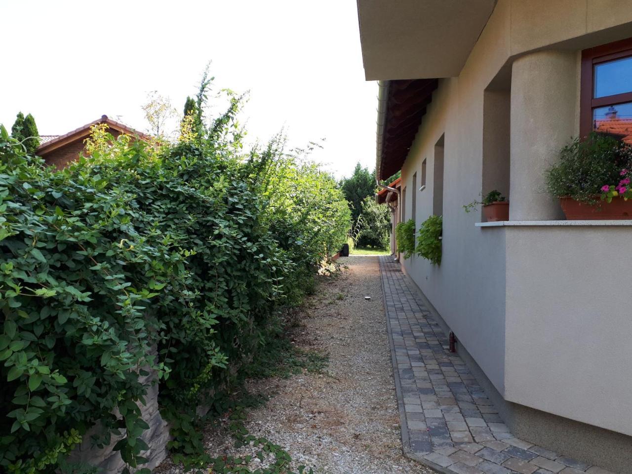 Kertvarosi Apartman Tiszaujvaros Luaran gambar