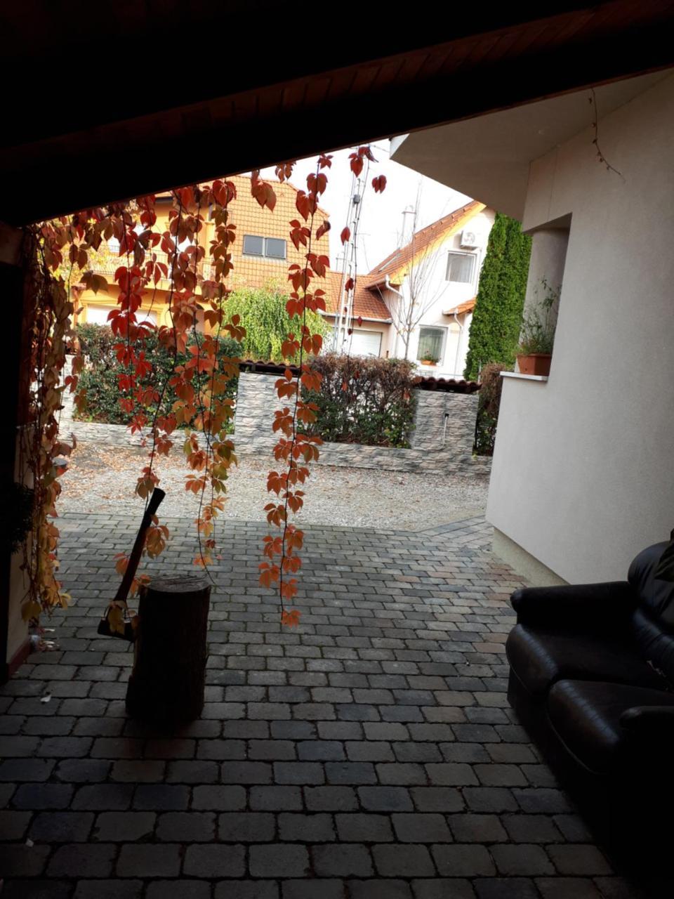 Kertvarosi Apartman Tiszaujvaros Luaran gambar